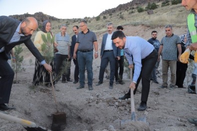 Nevşehir'de Her Yeni Doğan Ve Ölen Kişi İçin Fidan Dikilecek