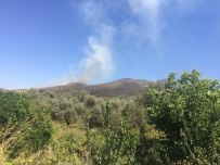 BADEMLI - Ödemiş'te Orman Yangını Açıklaması Yangın Kontrol Altına Alındı