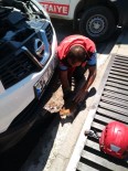 MUAMMER AKSOY - Otomobilin Motor Bölümüne Giren Kedi Yavrusunu İtfaiye Kurtardı