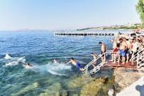 VAN GÖLÜ - Van Gölü'nde Sabah Sefası