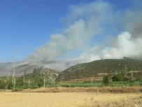 ORMAN İŞÇİSİ - Afyonkarahisar'ın Başmakçı İlçesinde Çıkan Orman Yangını Sabaha Karşı Kontral Altına Alındı