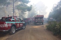 HAKKı UZUN - Antalya'da 3 Saat Süren Orman Yangını Kontrol Altına Alındı