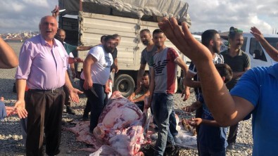 Göztepe'de Kaçak Kurban Kesimi Yapanlara Zabıta Müdahalesi
