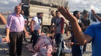 KURBANLIK HAYVAN - Göztepe'de Kaçak Kurban Kesimi Yapanlara Zabıta Müdahalesi
