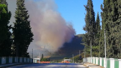 İznik'te Orman Yangını