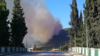 MAKİLİK ALAN - İznik'teki Orman Yangını Kontrol Altına Alındı