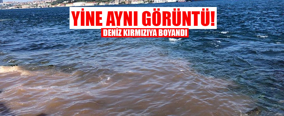 Kurban kanı Boğaz'a aktı