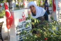 ŞEHİT AİLELERİ - Malatya'da Şehitlikte Hüzünlü Bayram