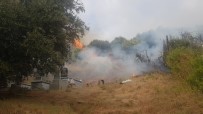 ZEYTİN AĞACI - Samanadağ'da Çıkan Yangın Korkuttu