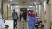 KURBAN KESİMİ - Şanlıurfa'da 132 Acemi Kasap Hastanelik Oldu