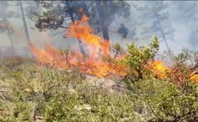 Alaçam Dağları'nda Orman Yangını Başladı