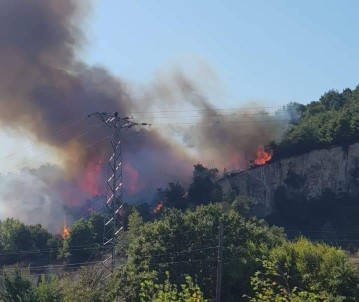 Biga'da Orman Yangını