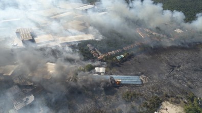 Fabrikaya Sıçrayan Yangında 30 Hektarlık Ormanlık Alan Zarar Gördü