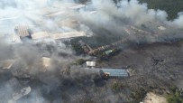 PLASTİK FABRİKASI - Fabrikaya Sıçrayan Yangında 30 Hektarlık Ormanlık Alan Zarar Gördü