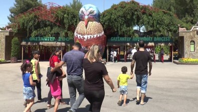 Gaziantep Hayvanat Bahçesi'nde Bayram Yoğunluğu