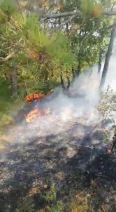 Gebze'de Orman Ve Çalılık Alan Yangını