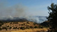 Güney Kıbrıs'ta Çıkan Yangın Kontrol Altına Alınamıyor