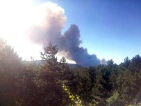 DEĞIRMENDERE - Kütahya'da Orman Yangını