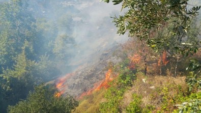 Marmara Adası'nda Kontrol Altına Alınan Yangın Tekrar Başladı