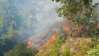 Marmara Adası'nda Kontrol Altına Alınan Yangın Tekrar Başladı Haberi