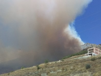 Marmara Adası'nda Orman Yangını