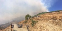 Marmara Adası'nda Yangın Kontrol Altına Alınamıyor Haberi
