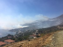 Marmara Adası'ndaki Yangın Kısmen Kontrol Altında Haberi