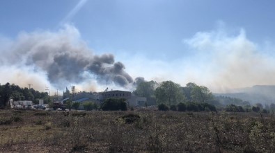 Ormanlık Yangını Fabrikaya Sıçradı