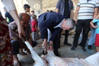 ŞAHINBEY BELEDIYESI - Tahmazoğlu, Kurban Kesim Yerlerini Ziyaret Etti