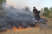 Elazığ'daki Orman Yangını 5 Saatte Kontrol Altına Alındı