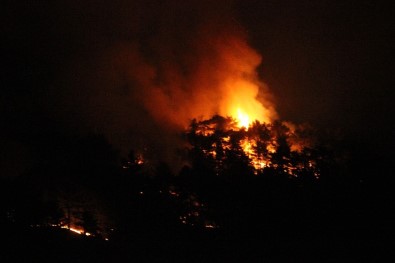 Eskişehir'deki Orman Yangınını Söndürme Çalışmaları Devam Ediyor