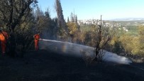 ESKIHISAR - Gebze'de 3 Yerde Çıkan Yangında 20 Dönüm Sit Alanı Zarar Gördü