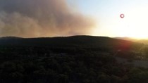 GÜNCELLEME - Eskişehir'de Orman Yangını