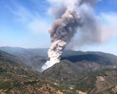 İzmir'de Orman Yangını