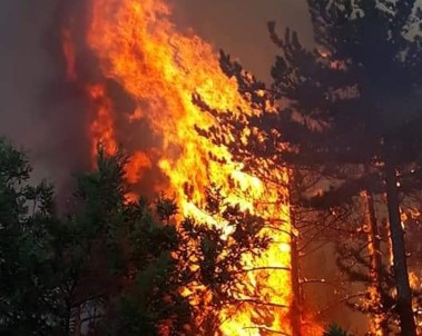 Kütahya'daki Orman Yangınını Söndürme Çalışmaları Sürüyor