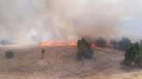 GÖLBAŞI - Ormanlık Alanda Yangın
