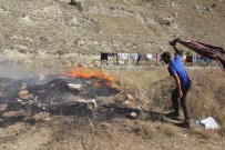 Sivas'ta 50 Dönüm Otluk Alan Yandı