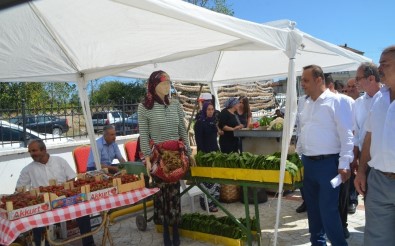 Alaçam'da 1. Tarım Fuarı İlgi Gördü