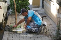 ŞIRINYER - Buca'nın Koca Yürekli Temizlik Personeli Sokaklara Sevgi Ekiyor