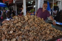 SONBAHAR - Fındık Mantarına 'Gurbetçi' Rağbeti