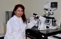 MALTEPE ÜNIVERSITESI - Karaciğer Kanserini Yapay Zekâ Tedavi Edecek