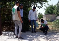 KERVAN - Umut Kervanı Silopi'de 200 Aileye Kurban Eti Ulaştırdı