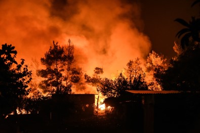 Yunanistan'daki Orman Yangını Devam Ediyor Açıklaması 8 Yaralı
