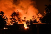 İNSANİ YARDIM - Yunanistan'daki Orman Yangını Devam Ediyor Açıklaması 8 Yaralı