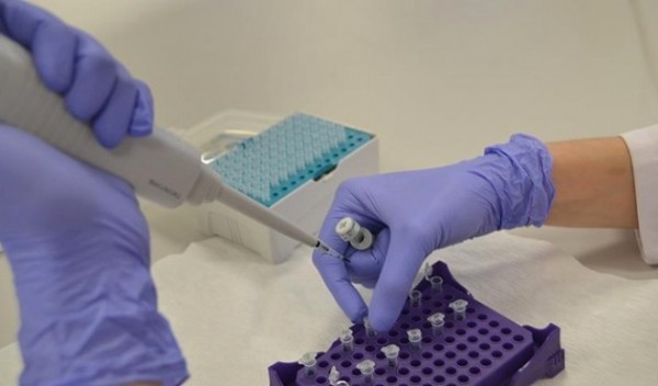 Kansere karşı en dirençli kan grubu belli oldu