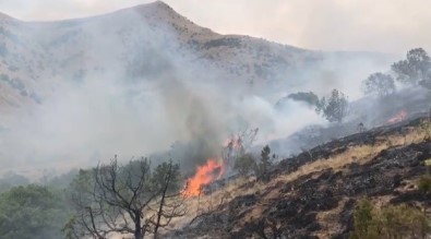 Bayburt'ta Orman Yangını
