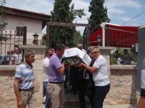 MILLIYETÇI HAREKET PARTISI - Bilecik'te Üzerine Cam Kaplama Düşen Kadın 17 Günlük Hayat Mücadelesi Kaybetti