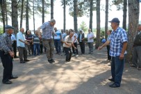 BİLEK GÜREŞİ - Koca Çınarların Piknik Keyfi