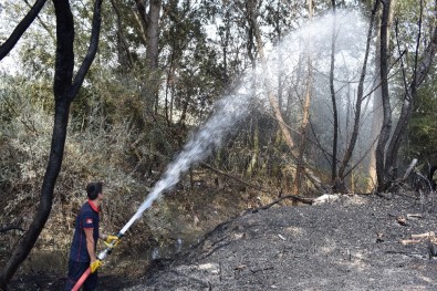 Odunlukta Başlayan Yangın 10 Hektar Alanı Küle Çevirdi
