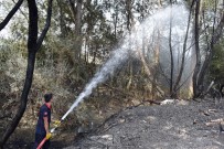 ORDUZU - Odunlukta Başlayan Yangın 10 Hektar Alanı Küle Çevirdi